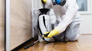 Real Estate Pest Inspections in Taylor Creek, OH